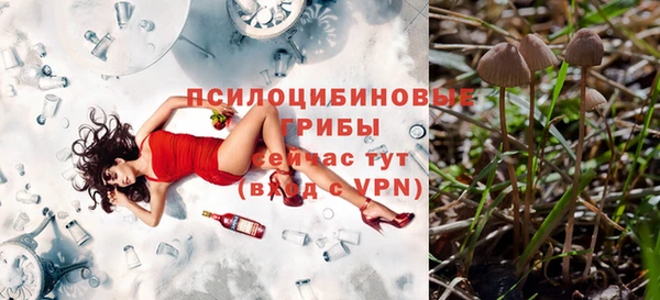 Альфа ПВП Алексин