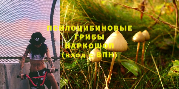 Альфа ПВП Алексин