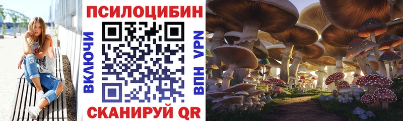 Псилоцибиновые грибы Magic Shrooms  Ноябрьск 